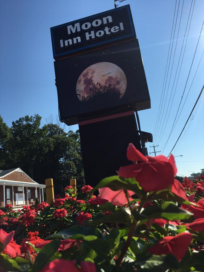 Moon Inn Hotel Alexandria Eksteriør billede